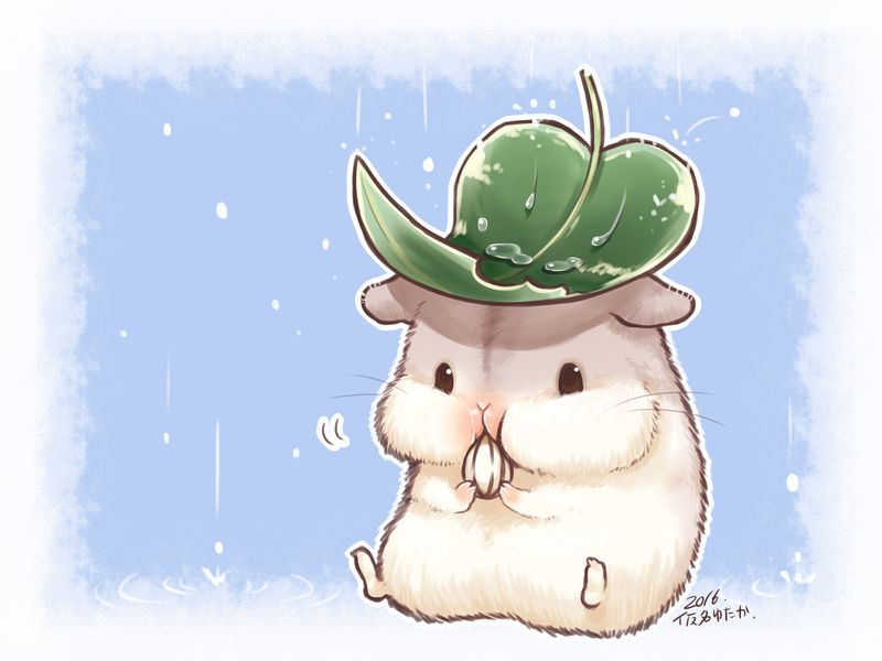 汤汁。