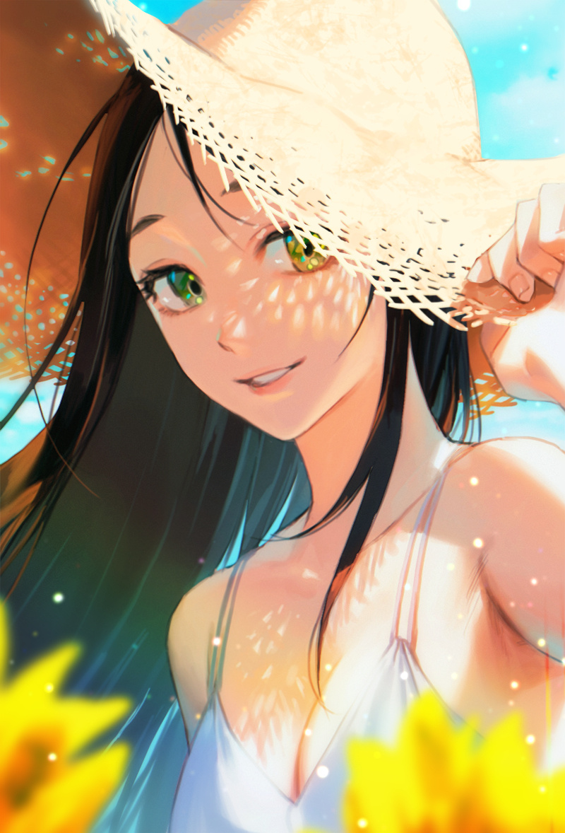 Summer,Sunflower