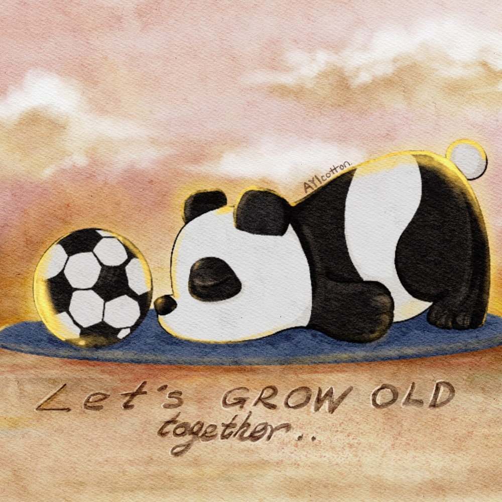熊猫和足球