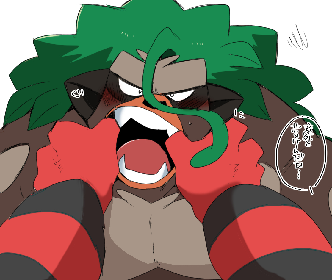ゴリ×ガオ詰め