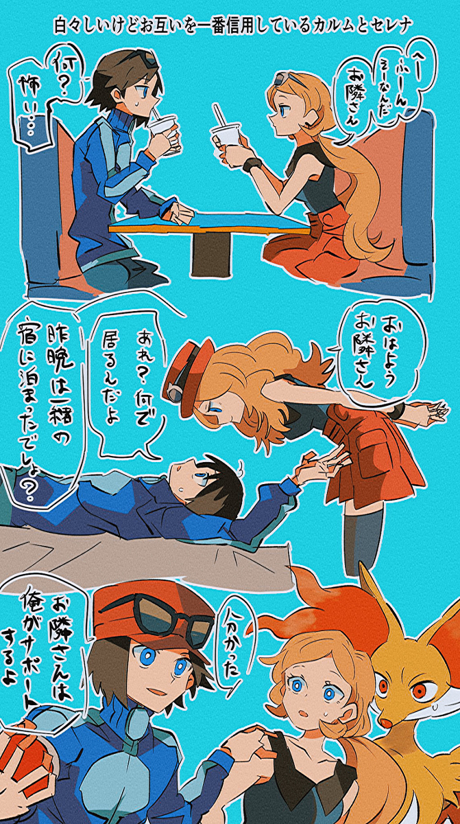 ポケモン詰め＋a