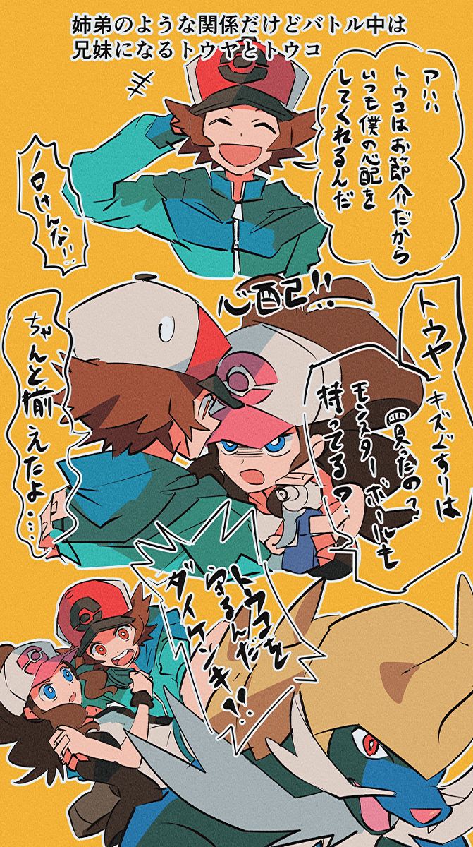 ポケモン詰め＋a