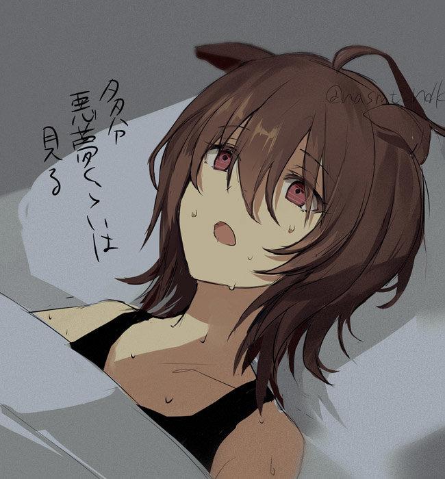 タキオン出来心色々