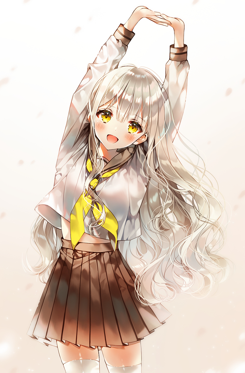 蒲公英
