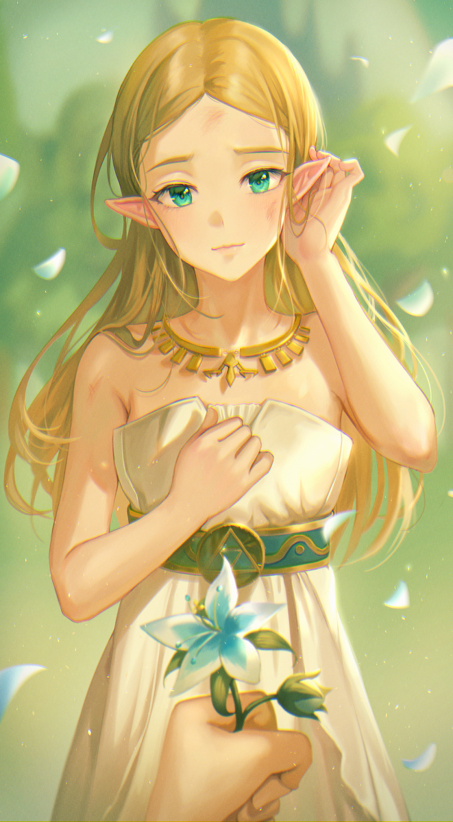 Zelda