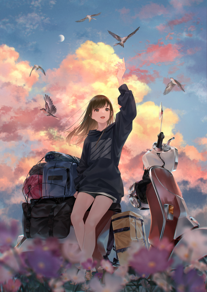 旅行