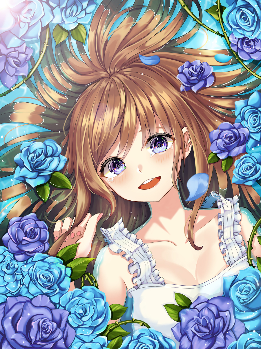 Blue rose