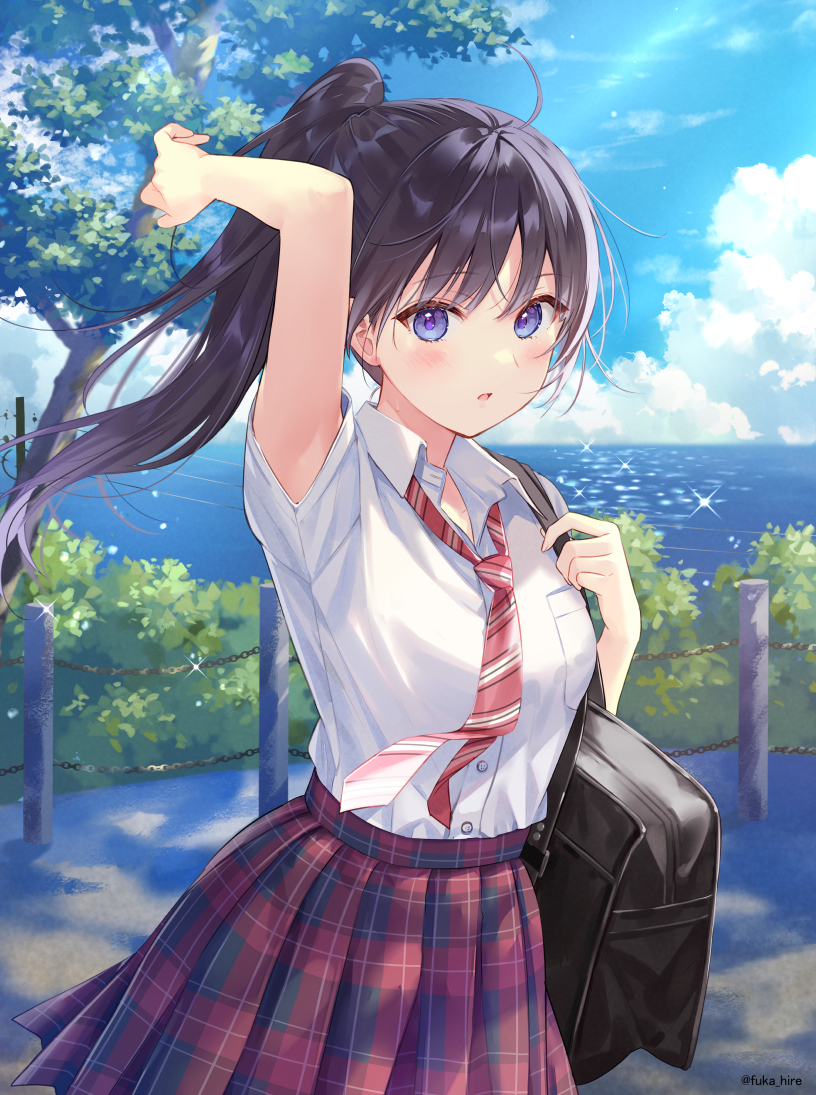 马尾辫季节