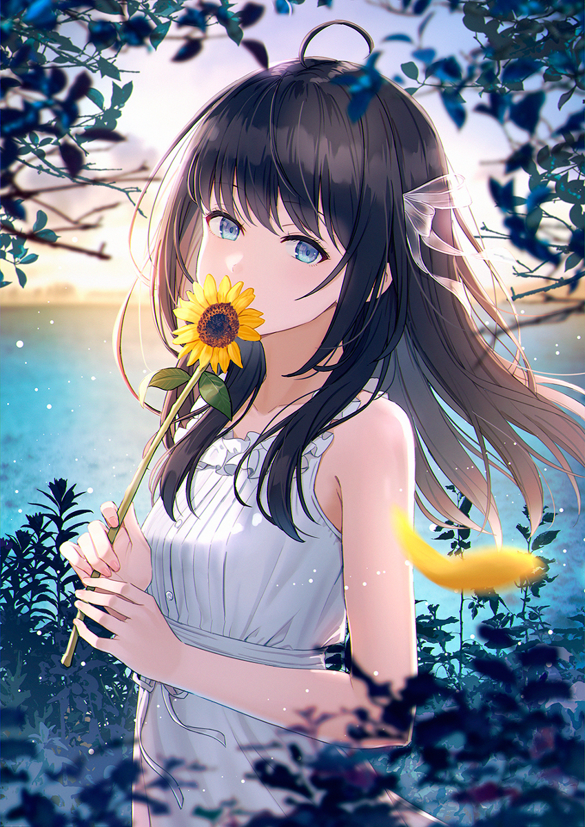 夏天的结束