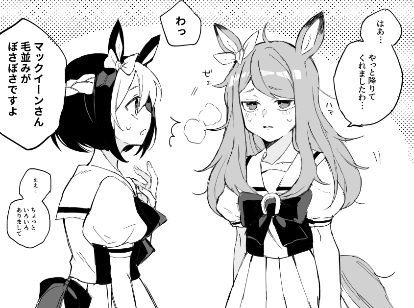 马娘总结