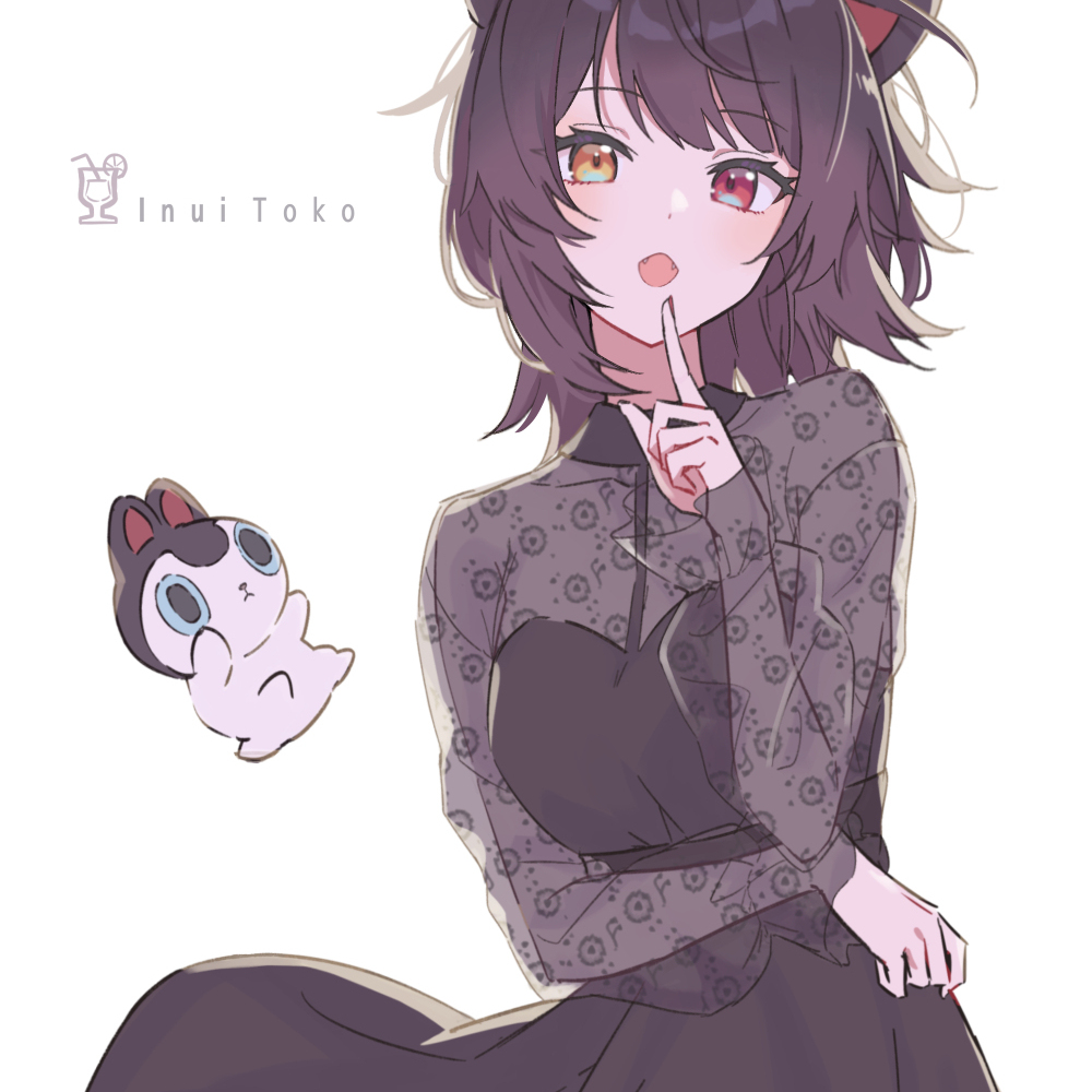 大笨蛋