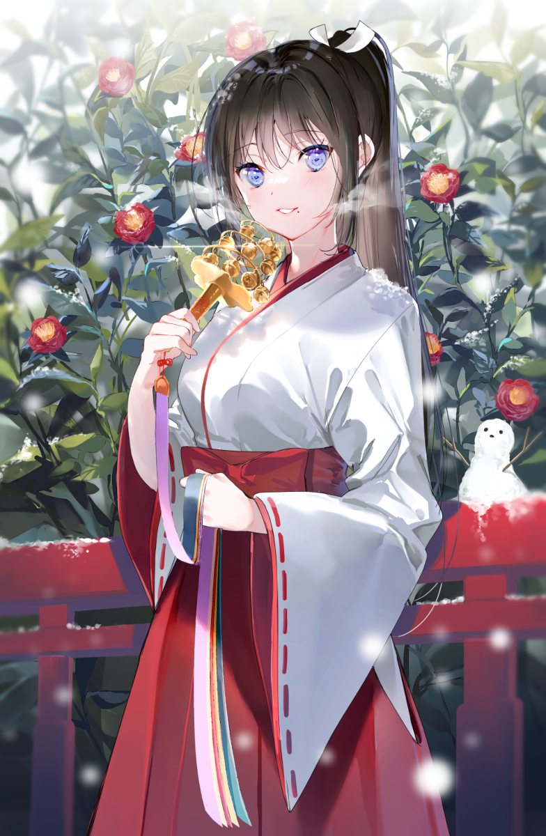 真红的巫女和纯白的巫女