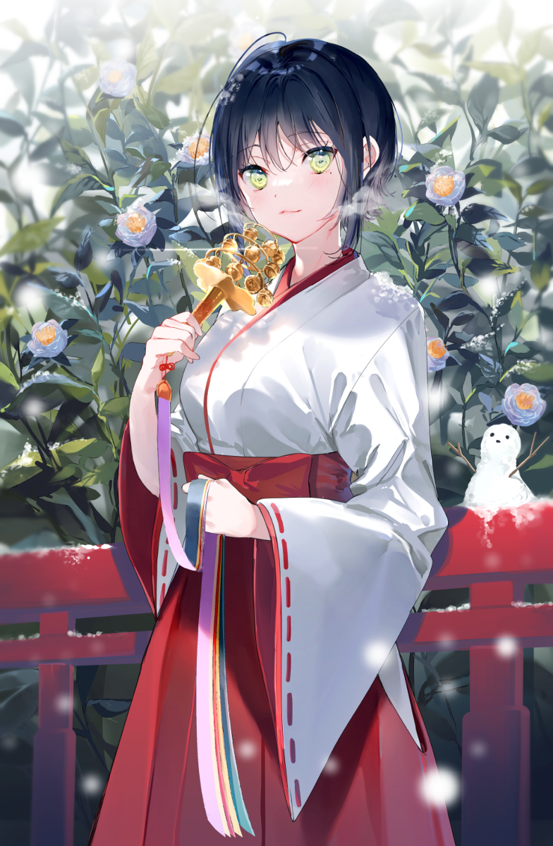 真红的巫女和纯白的巫女