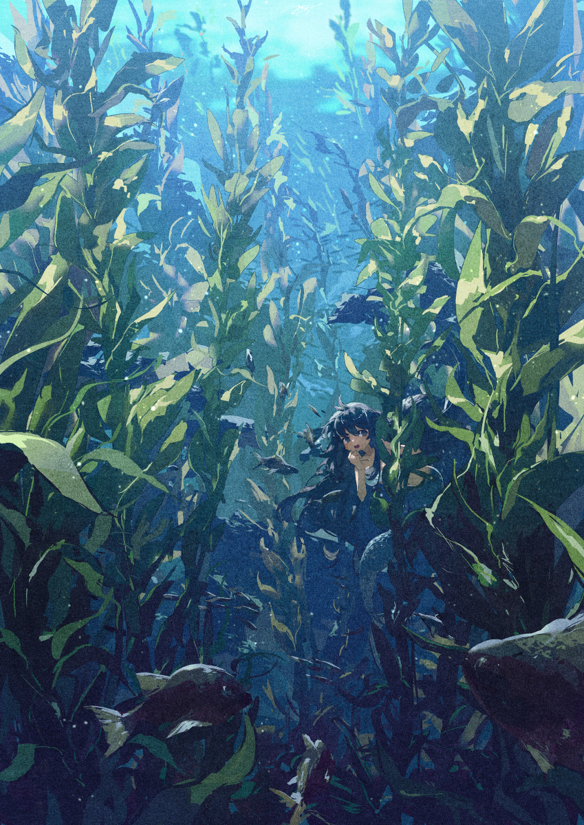 在海洋森林里