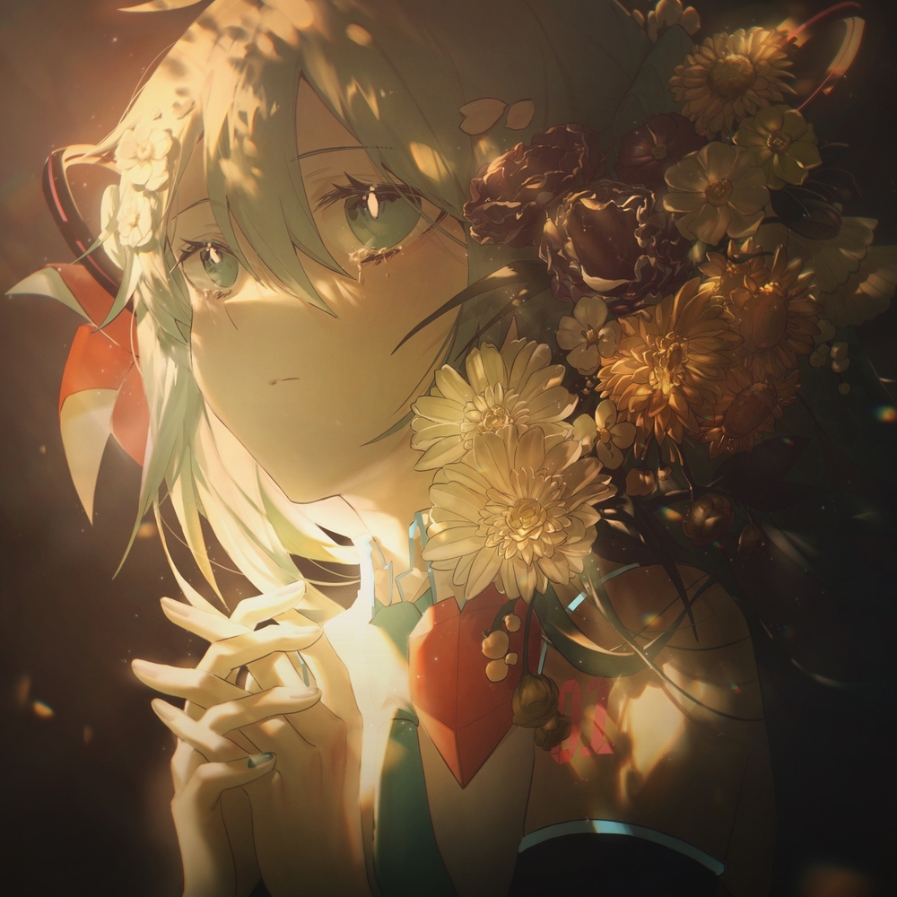 播放