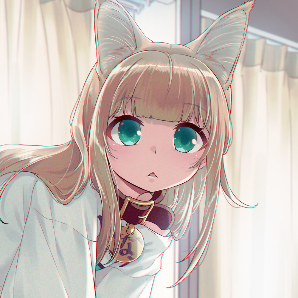 椅子の背もたれの上が好きなきなこ💺🐈