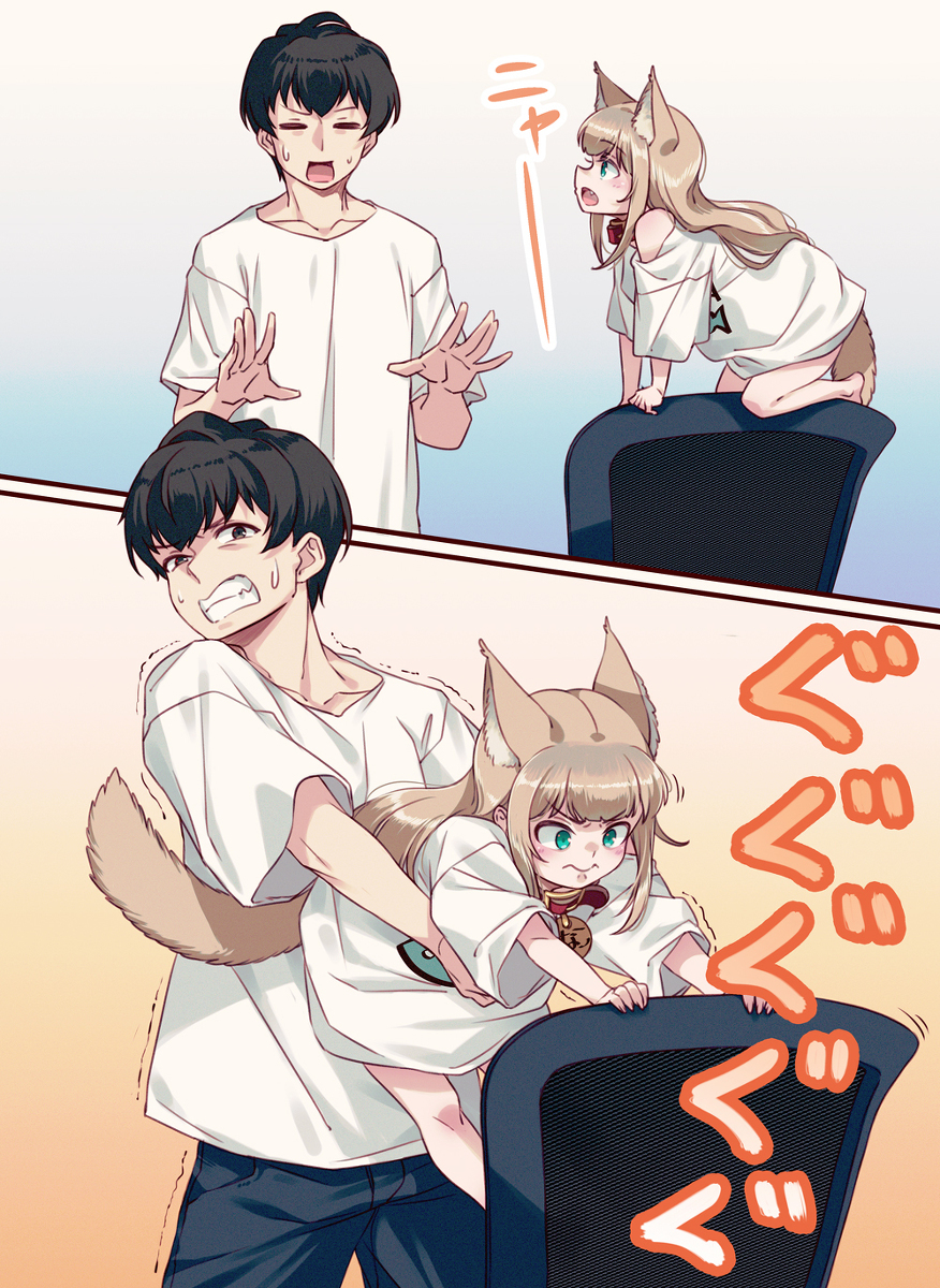 椅子の背もたれの上が好きなきなこ💺🐈