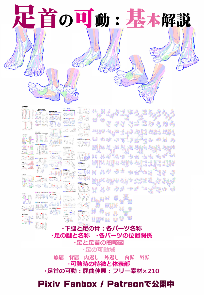 个人笔记: 脚的零件