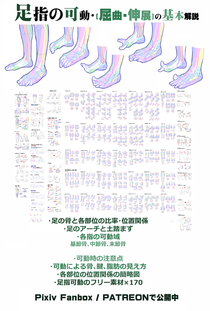 个人笔记: 脚踝的位置