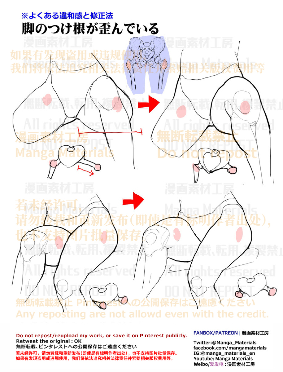个人笔记: 腿部根部