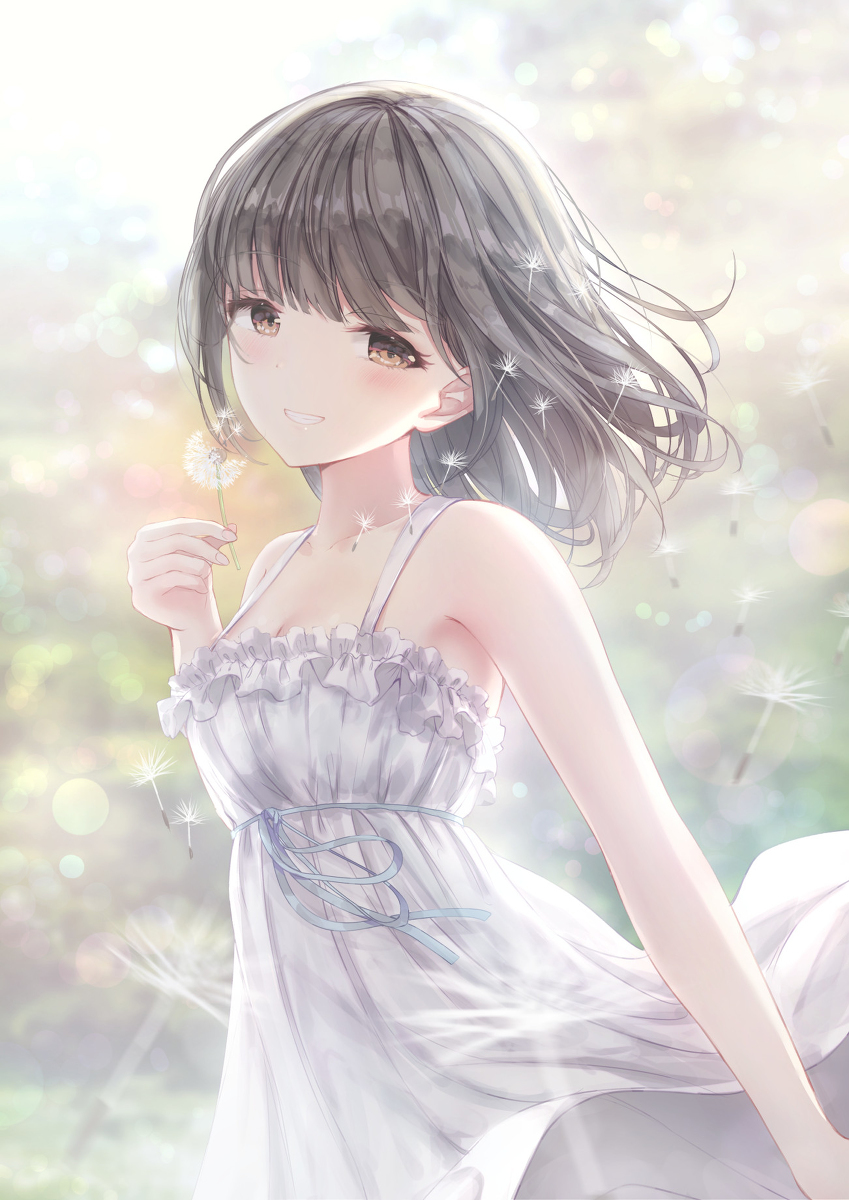 窗帘礼服 &amp; twitter总结