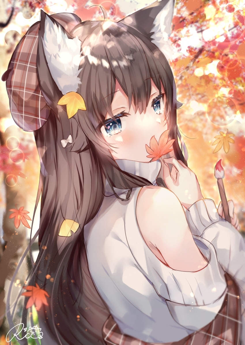 艺术之秋🍁