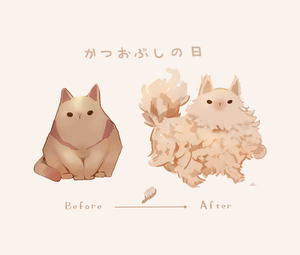 鲣鱼猫