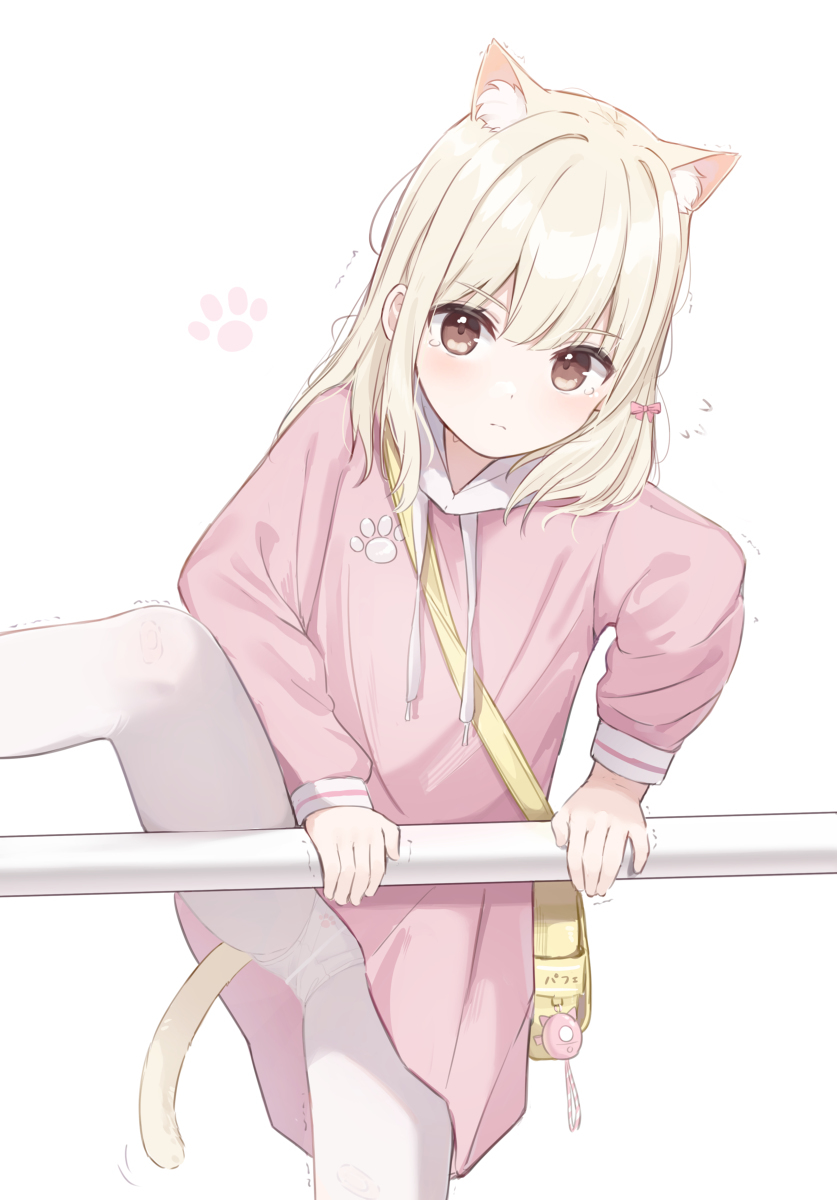 巴菲酱🐱