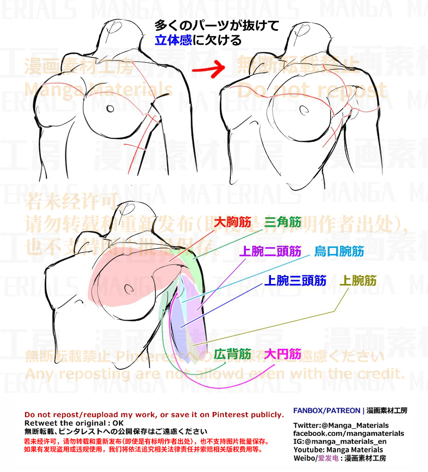 個人メモ：腋