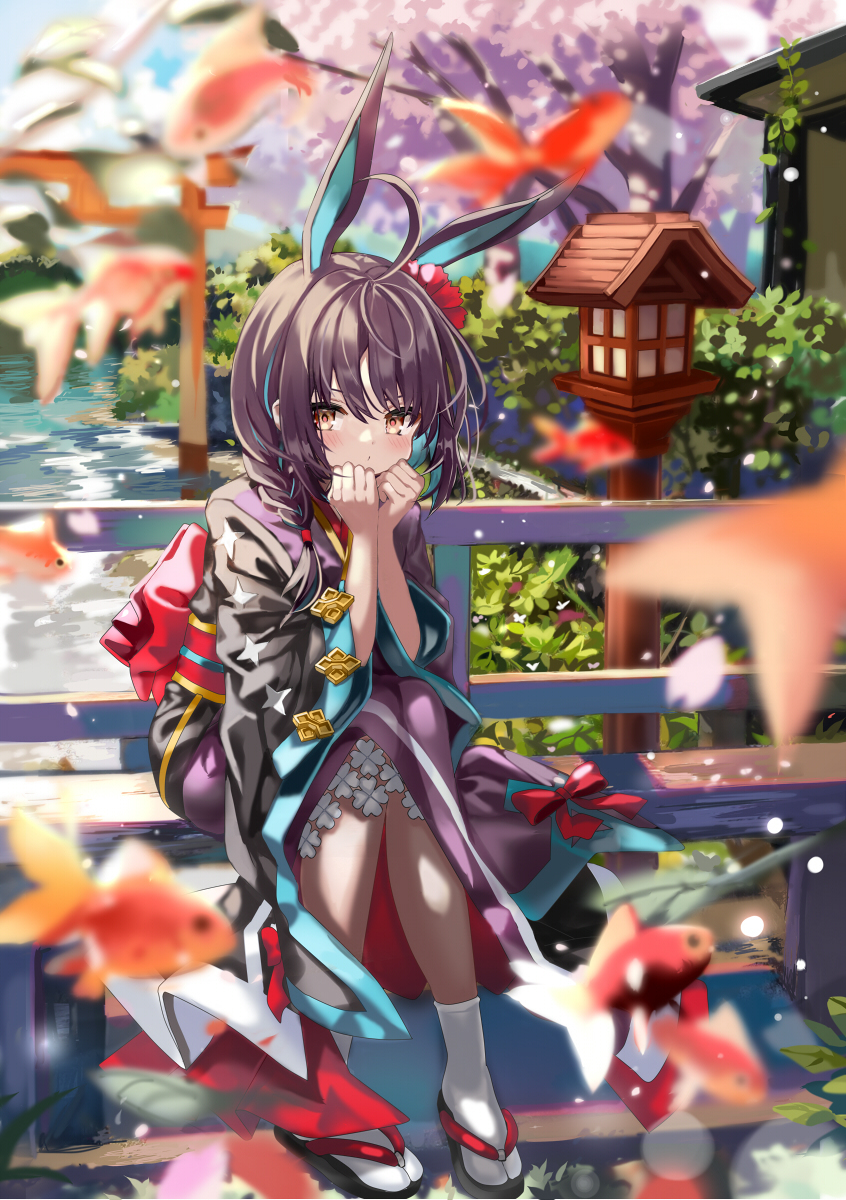鱼缸