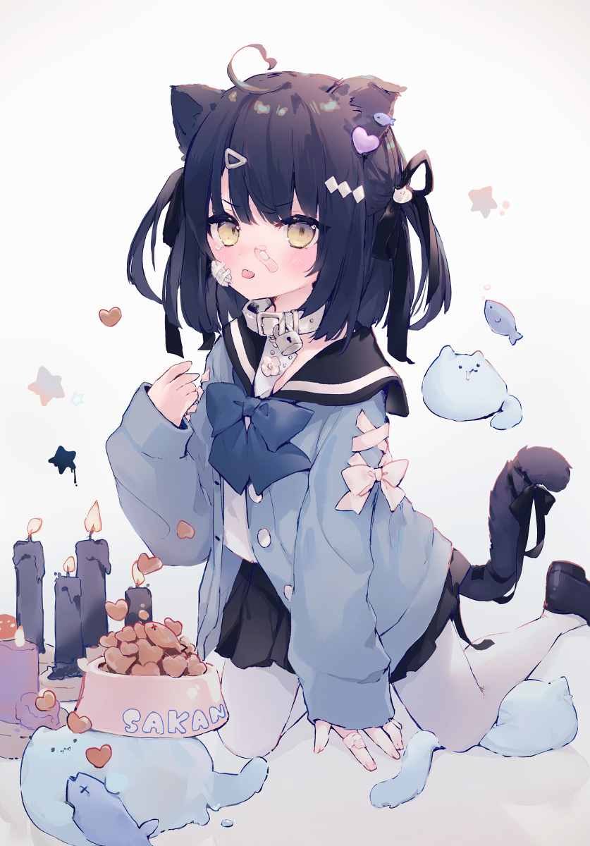 猫