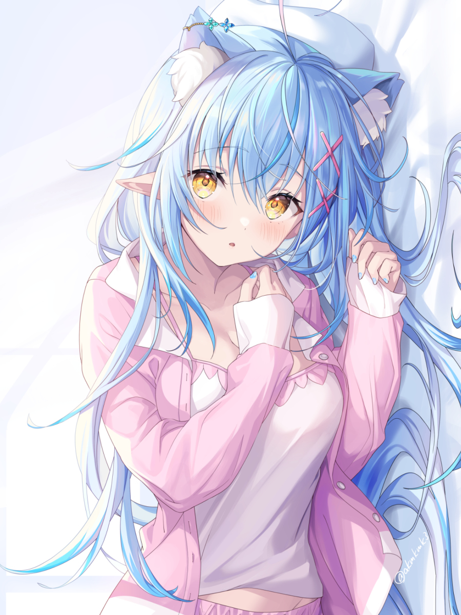 猫耳拉米先生