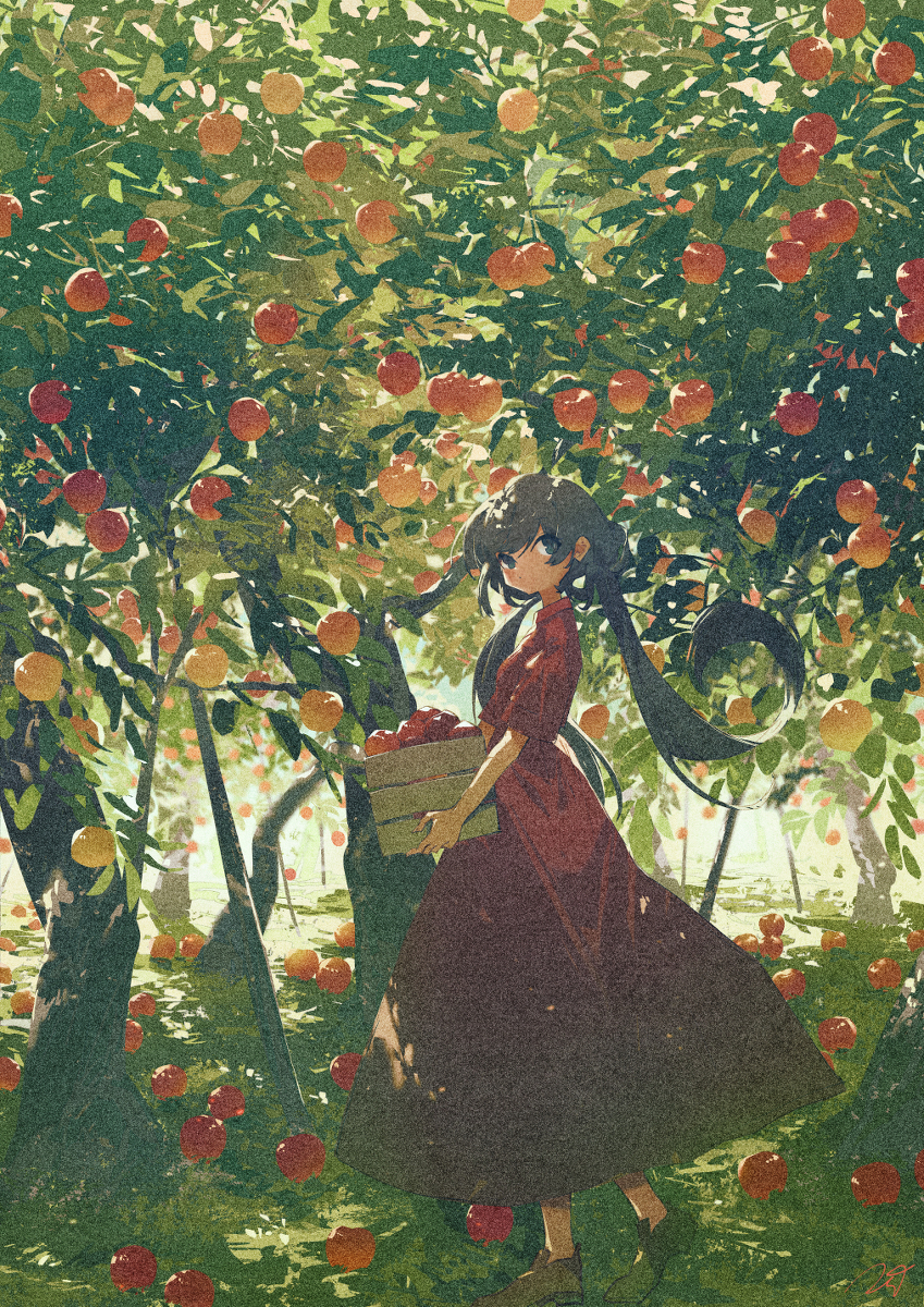 苹果园