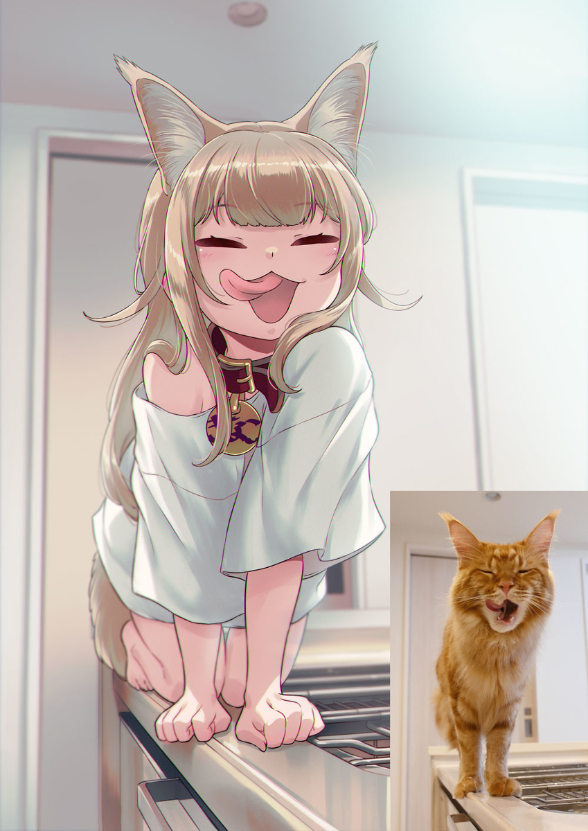 粘糊糊的🐈