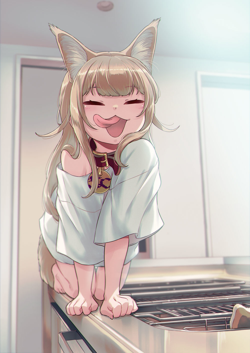 粘糊糊的🐈