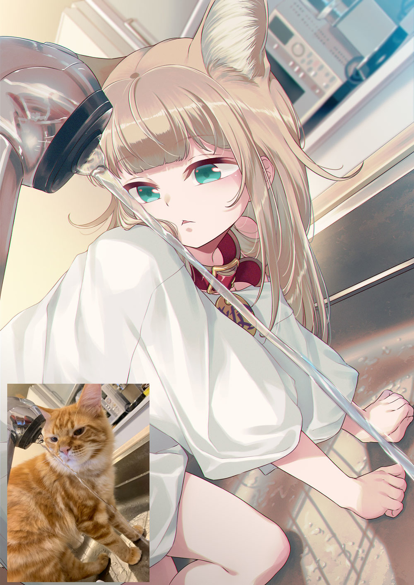 尽情享受厨房的蘑菇🚿🐈