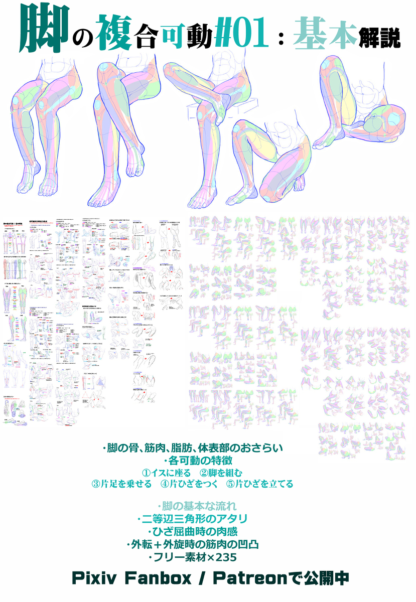 个人备忘录: 弯曲的腿和膝盖