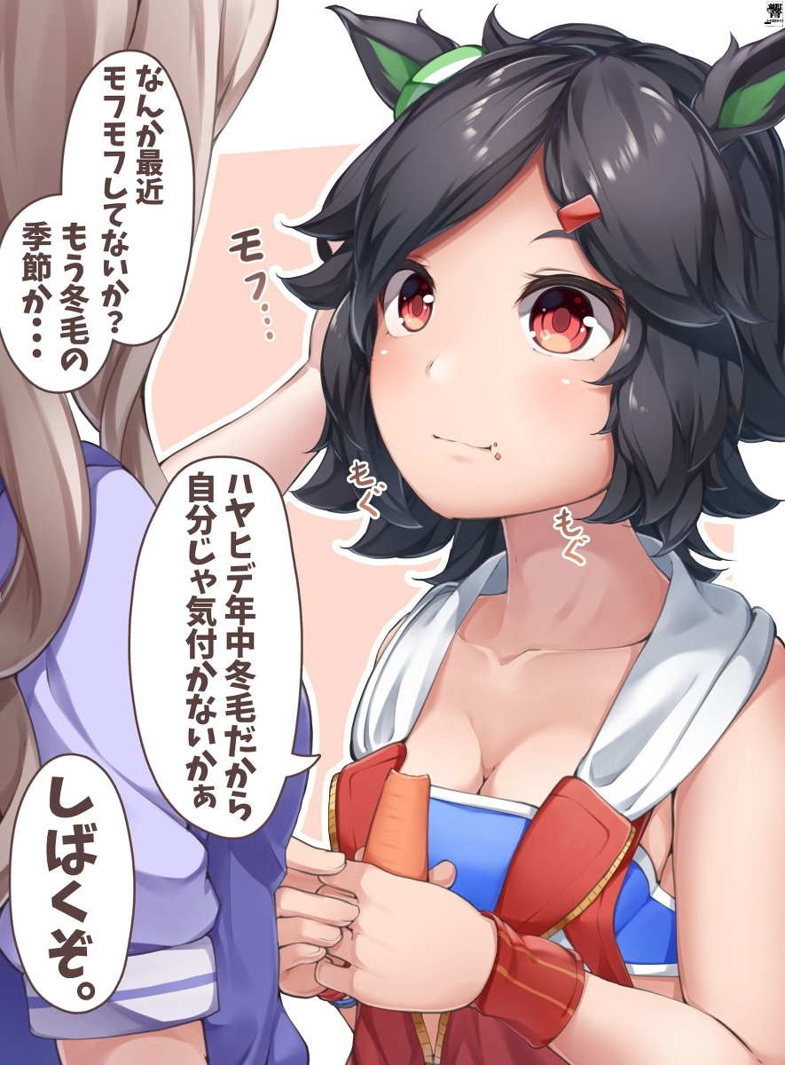 冬天毛,莫夫莫夫的奇克索