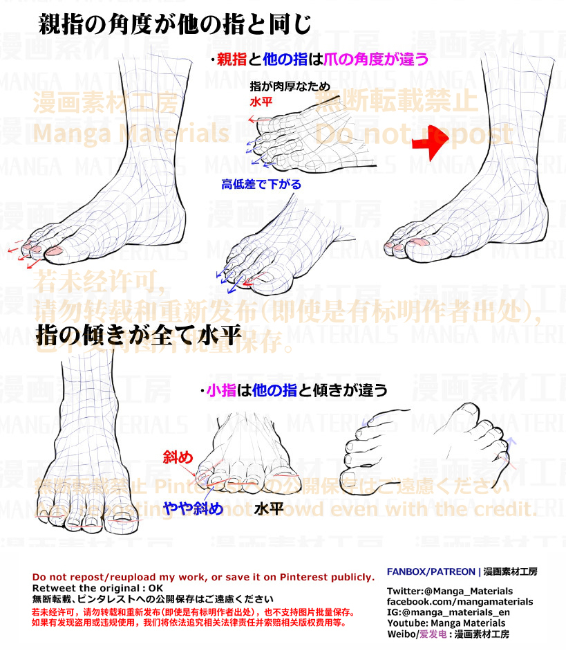 个人笔记: 脚和脚趾