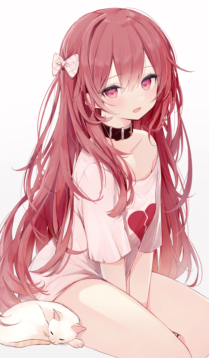🐱