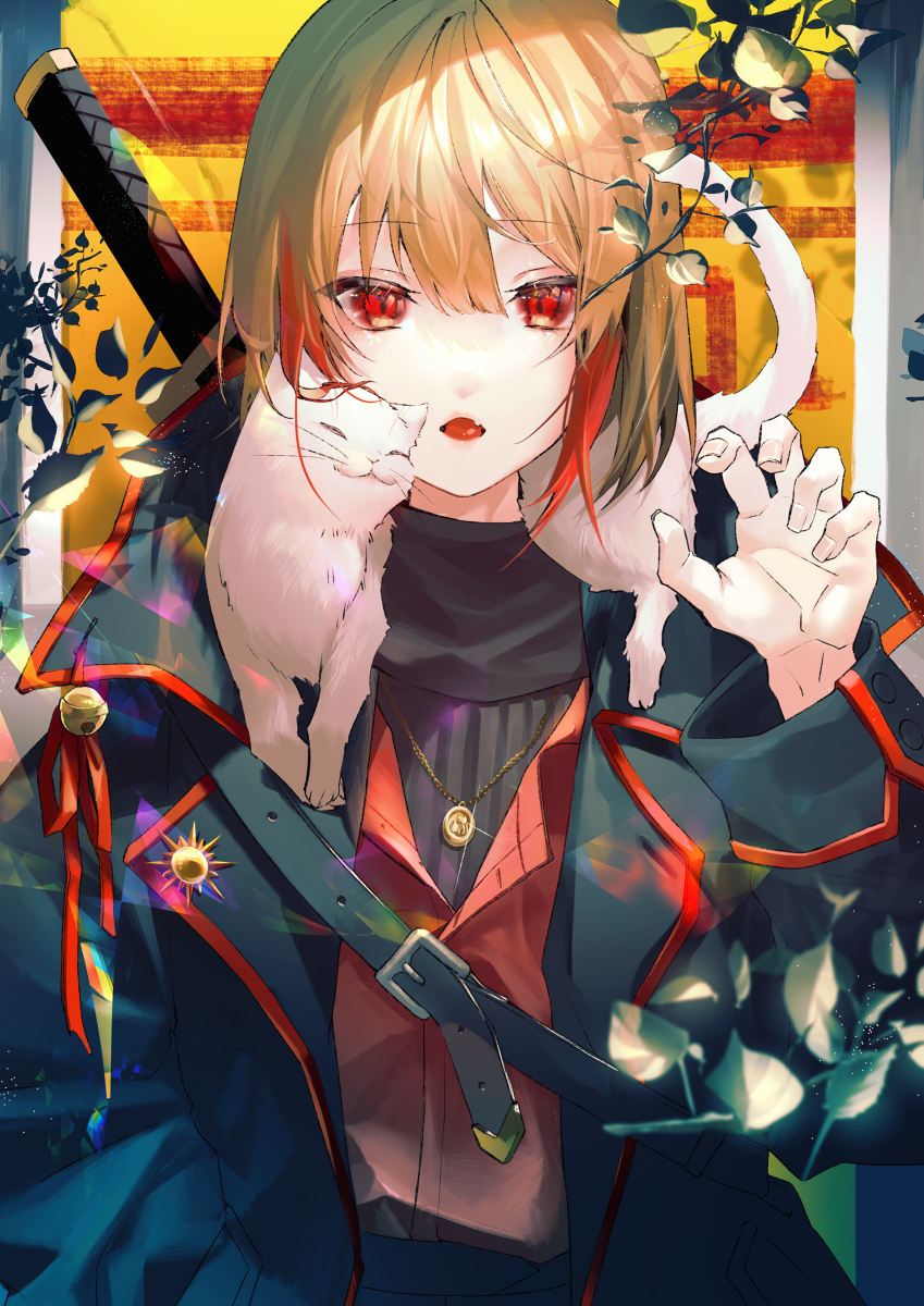喵喵