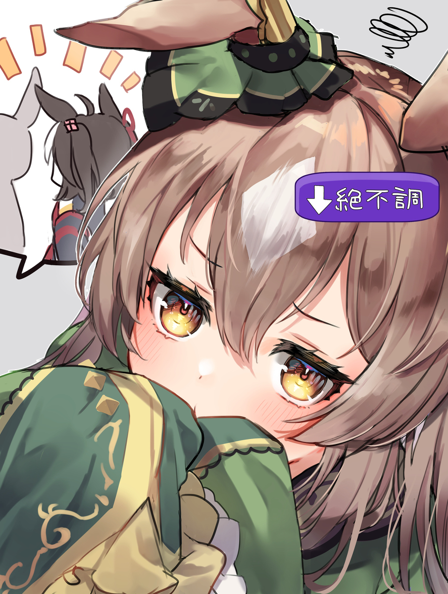 小智日志