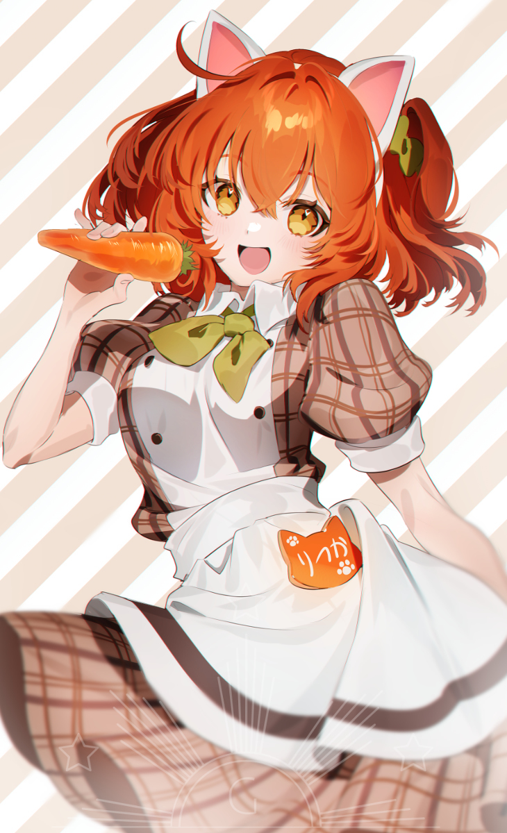 大猫咖啡馆🥕
