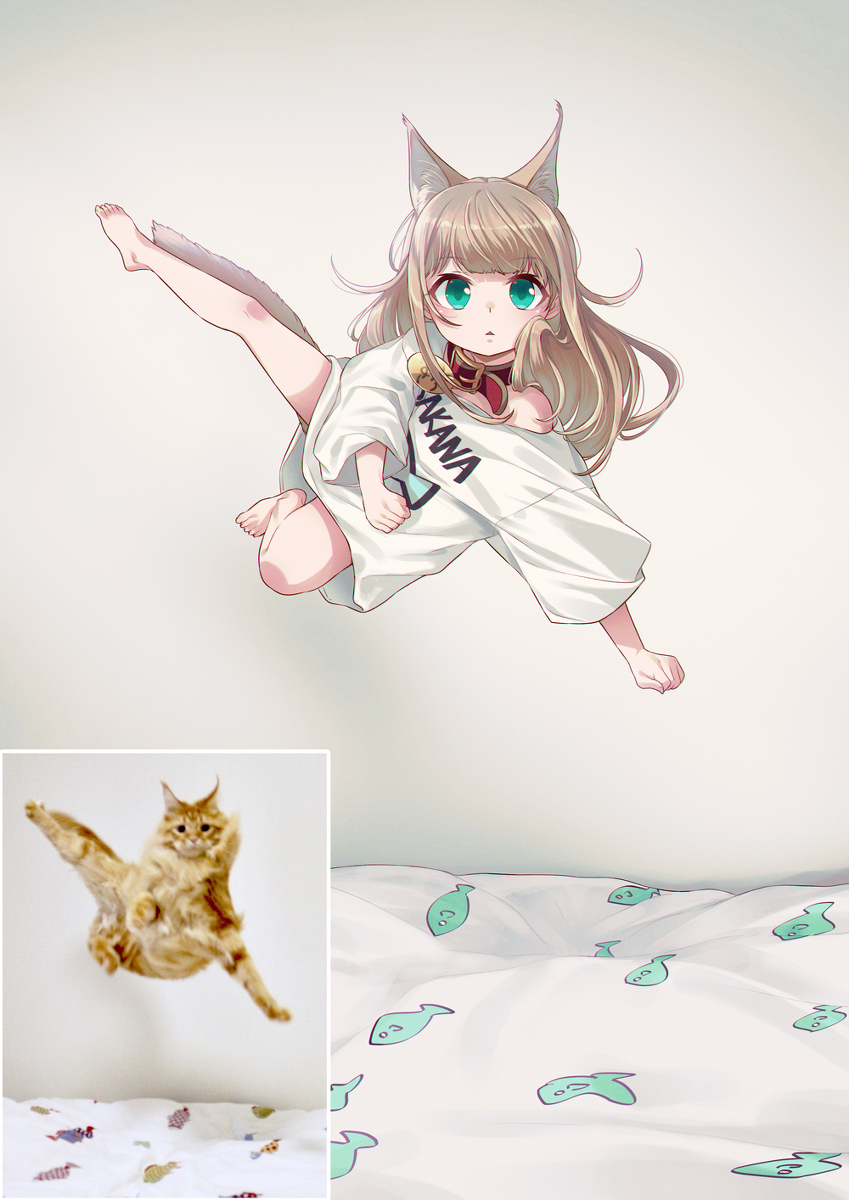 无重力的蘑菇
