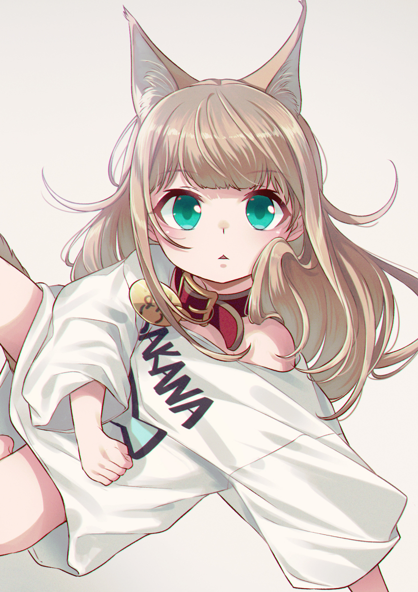 无重力的蘑菇