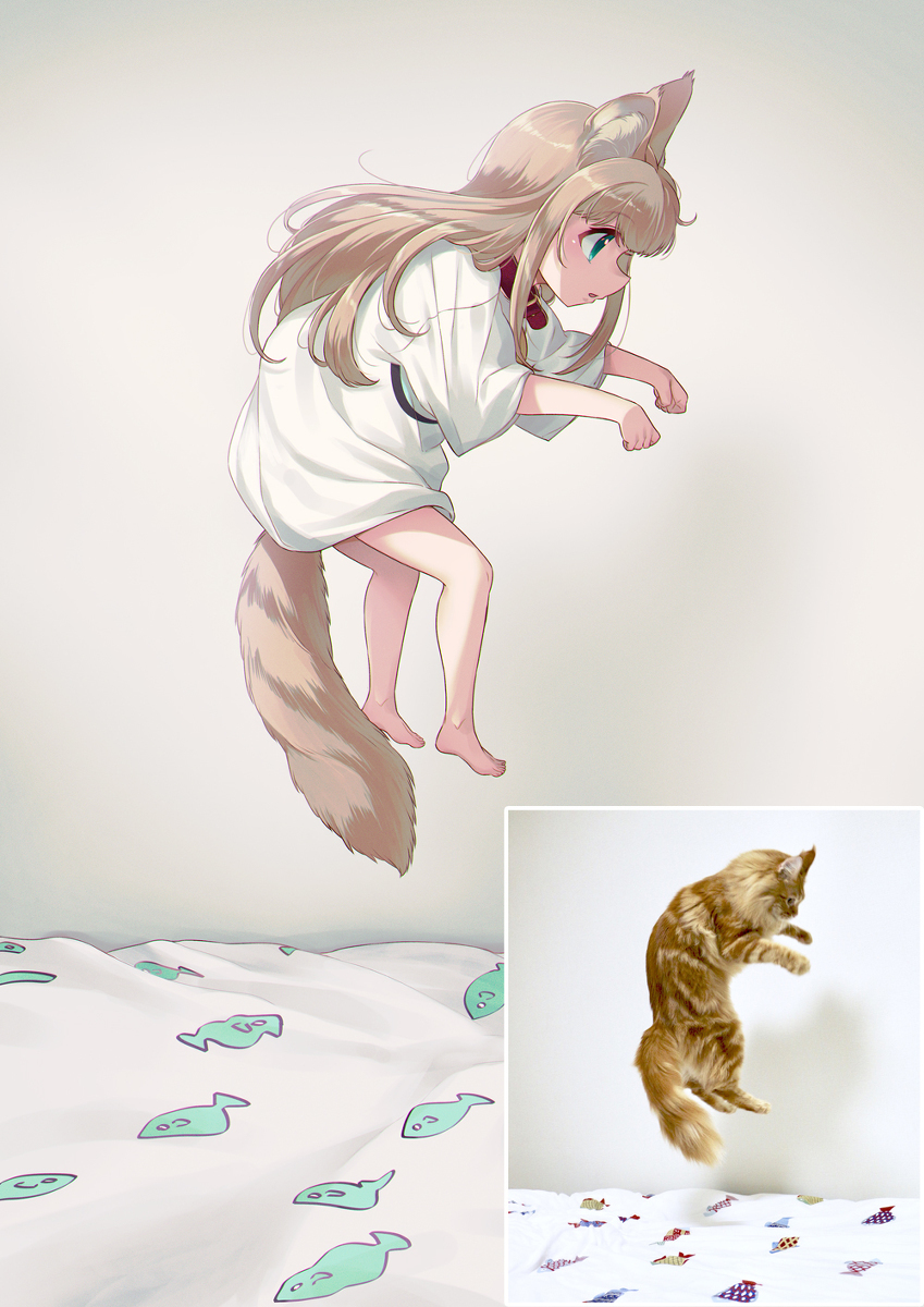 无重力的蘑菇