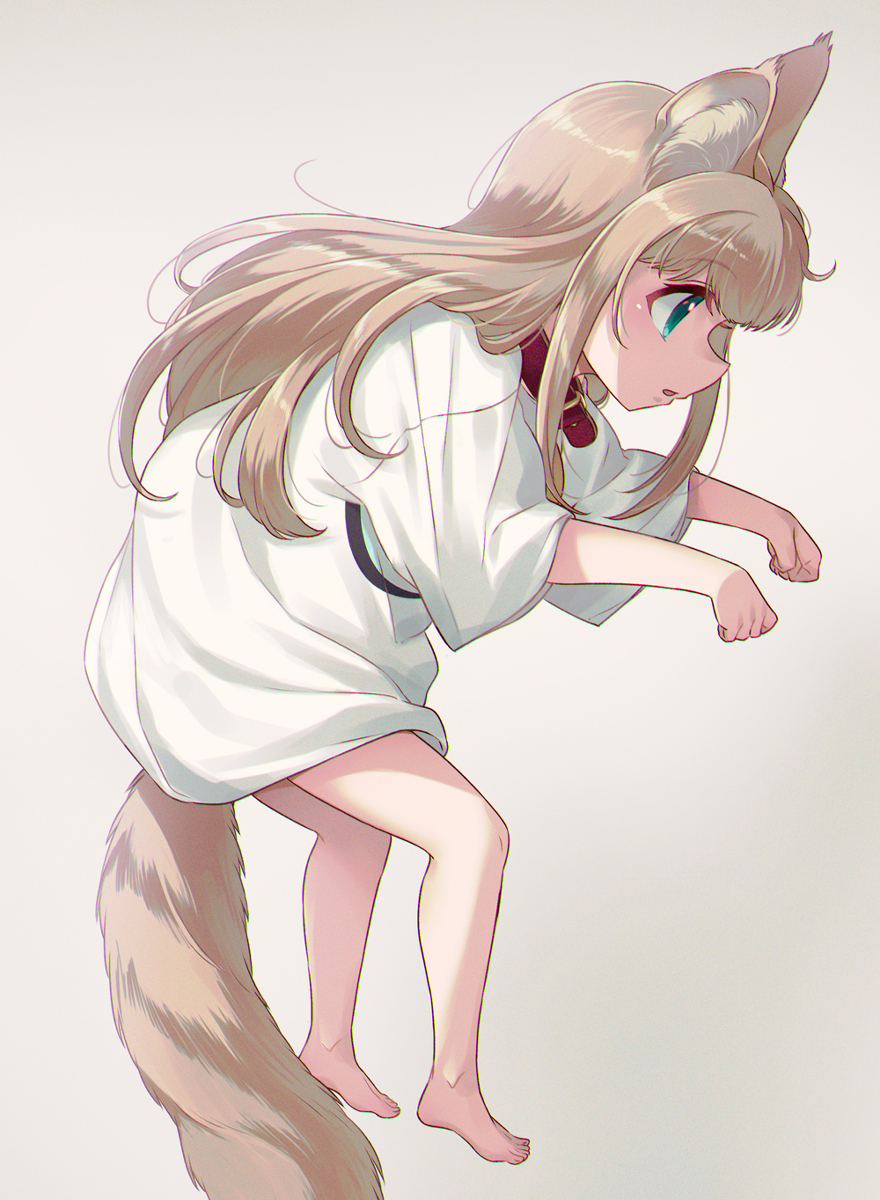 无重力的蘑菇