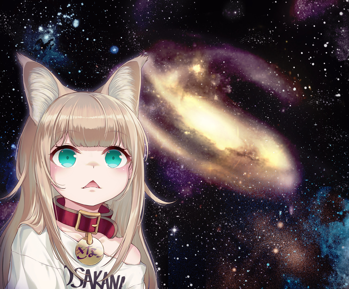 宇宙大奈子