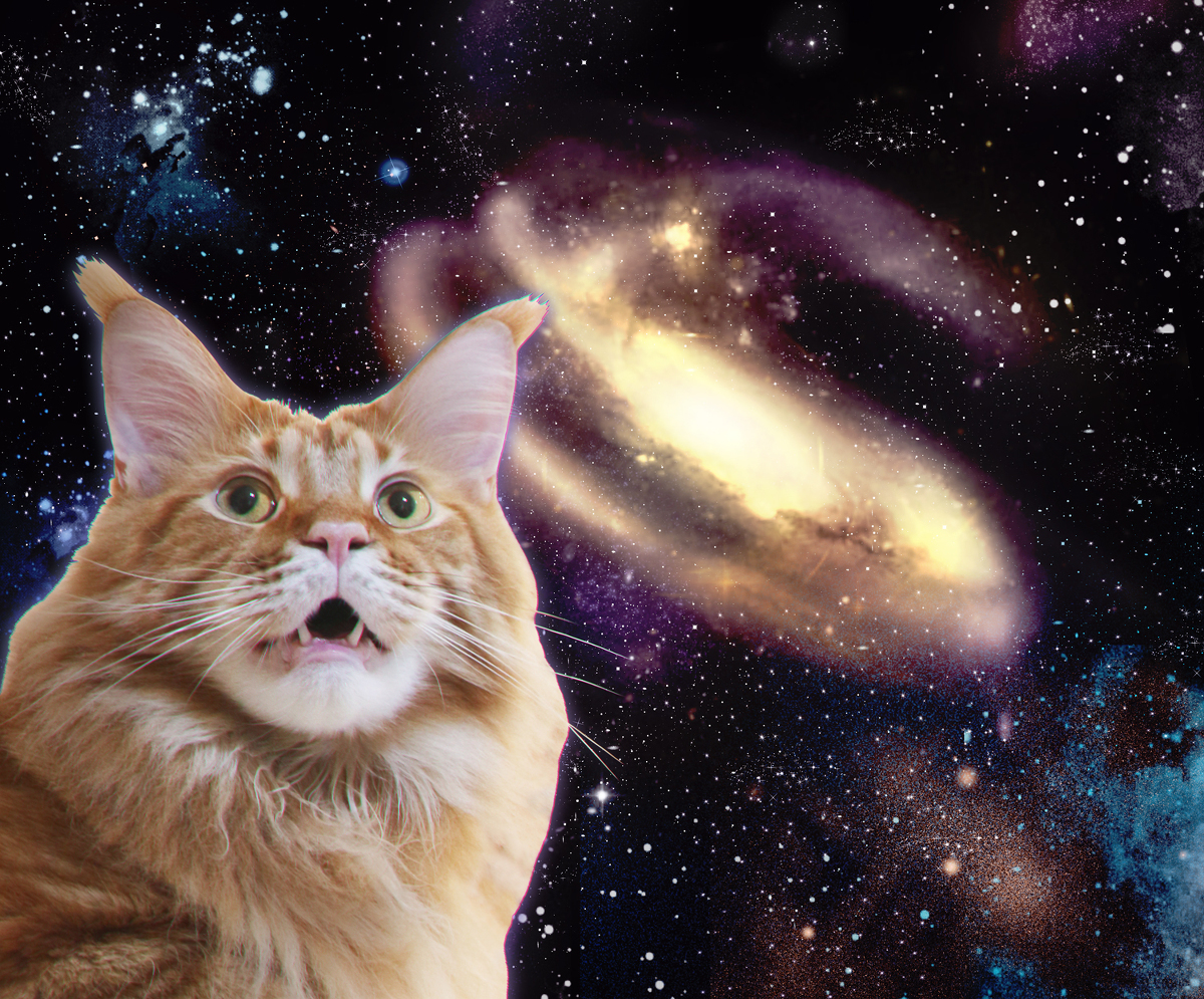 宇宙大奈子