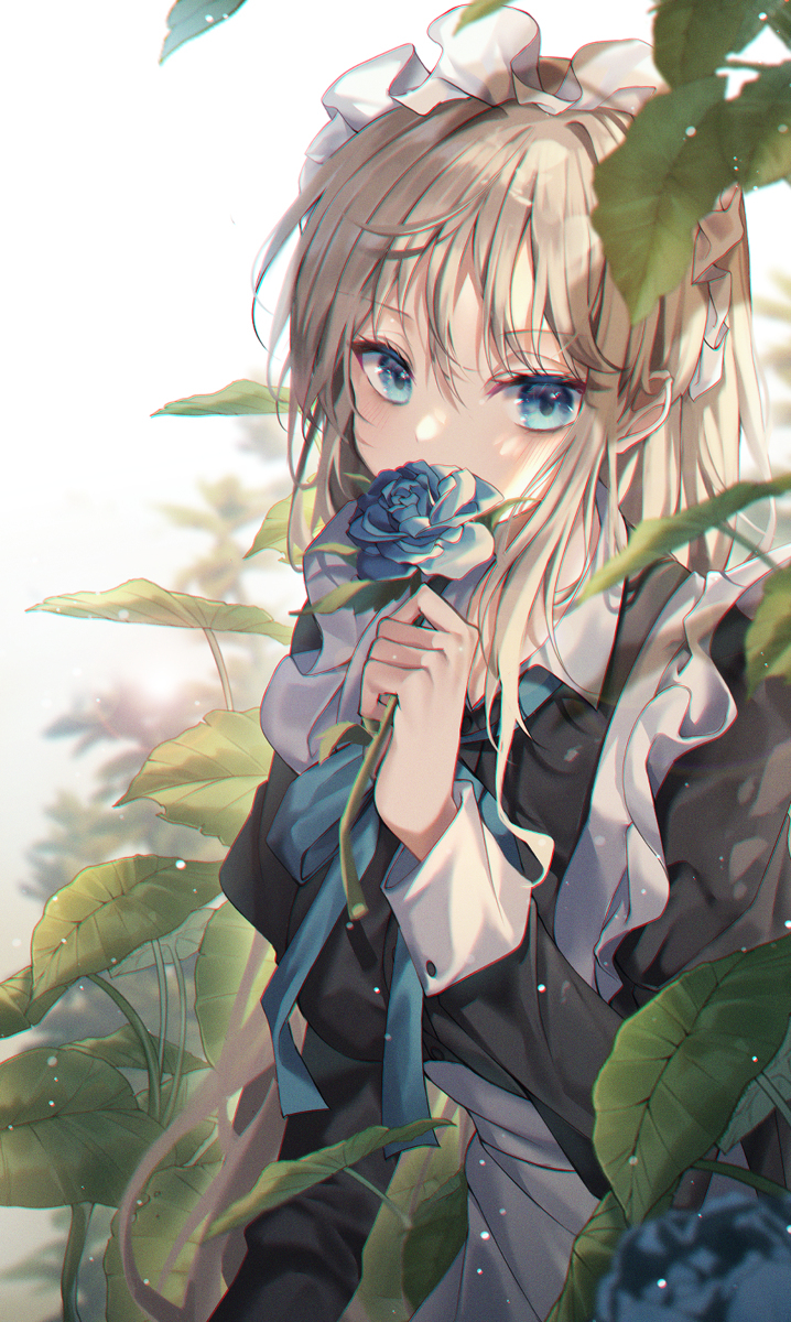 蓝色玫瑰
